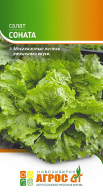 Салат "Соната" 0.3г*